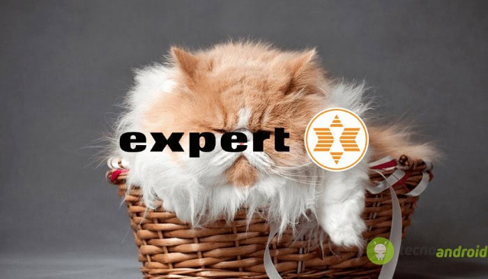 expert