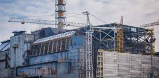 chernobyl-fungo-radiazioni