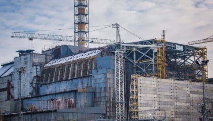 Chernobyl: scoperto un singolare fungo che protegge dalle ...