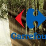 carrefour