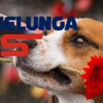 esselunga