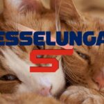 esselunga