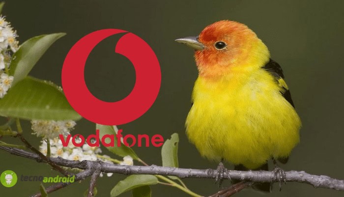 vodafone