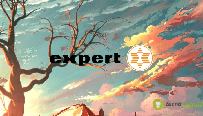 expert