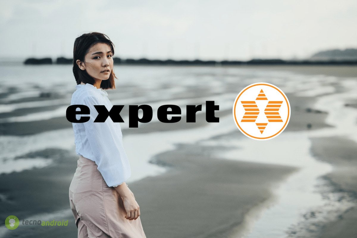 expert