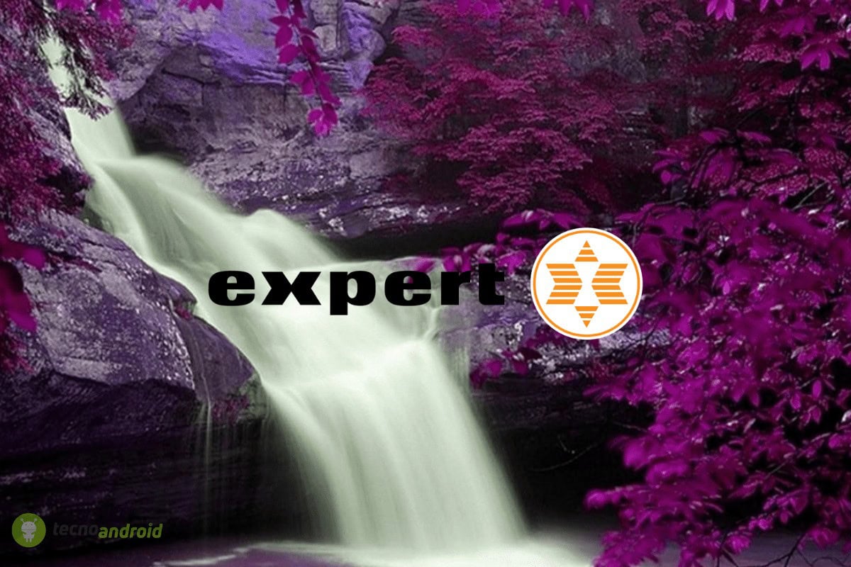 expert