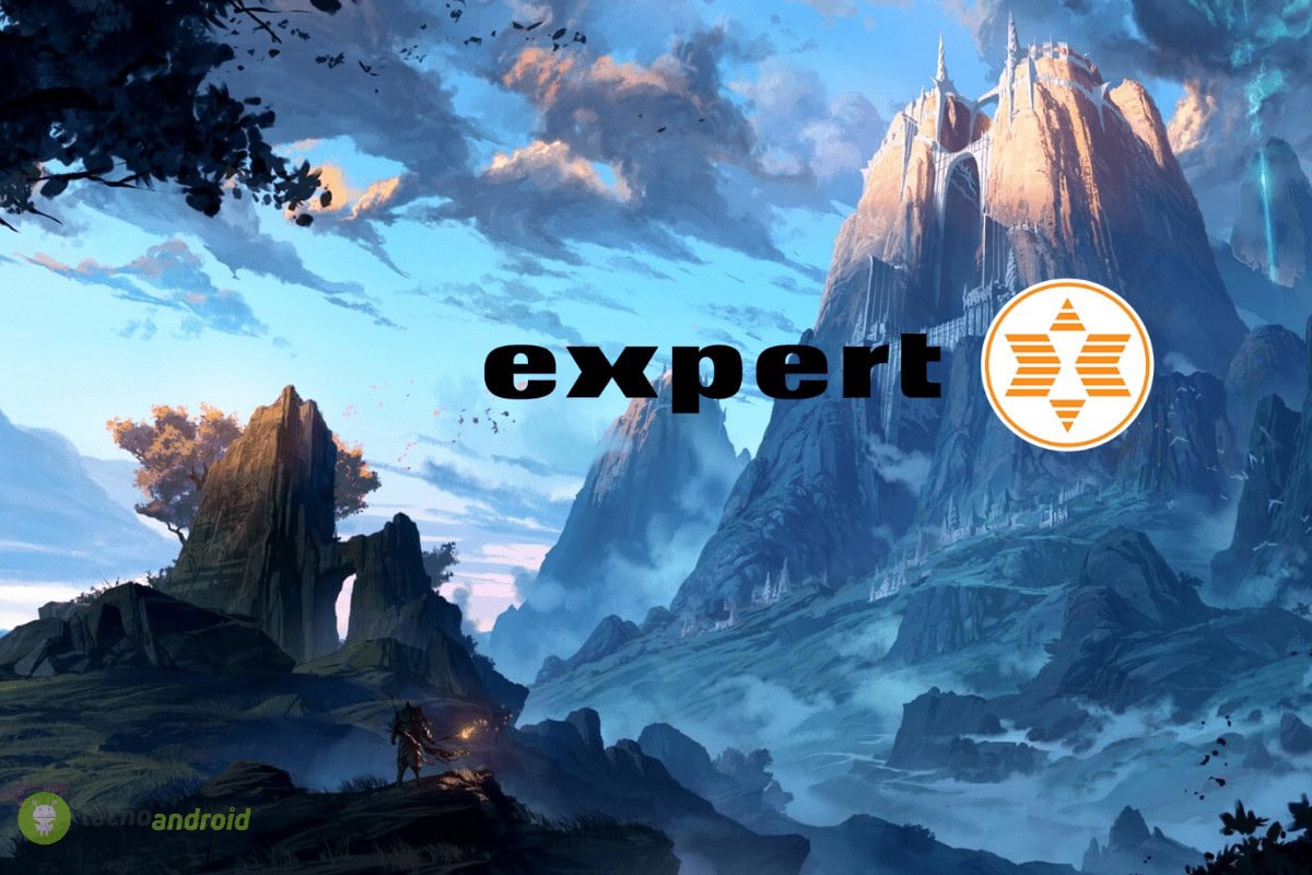 expert