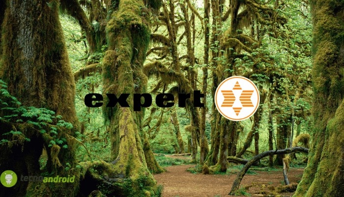 expert