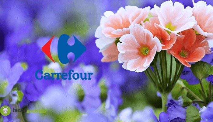 carrefour