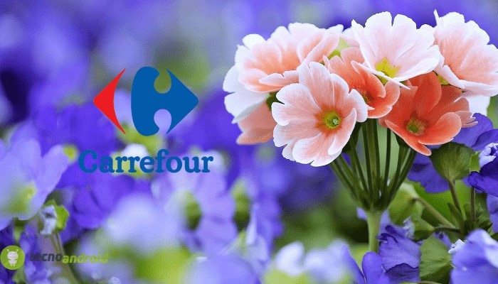 carrefour