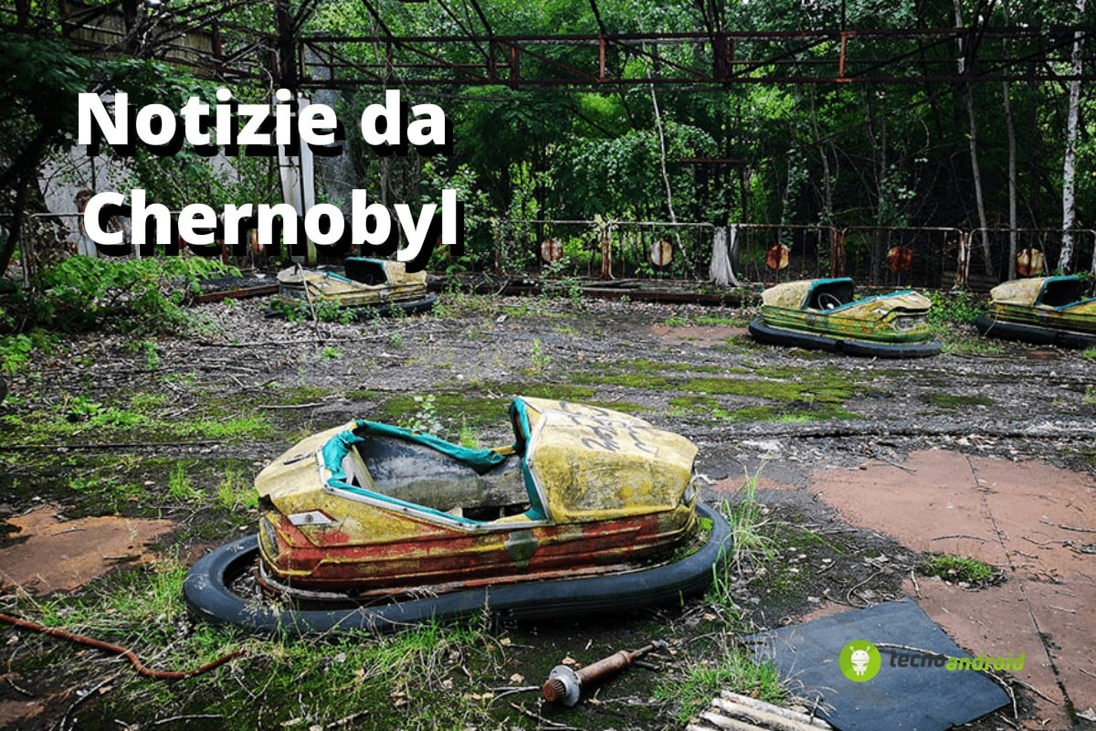 Chernobyl: il fungo che ha protetto l'umanità dalle polveri tossiche