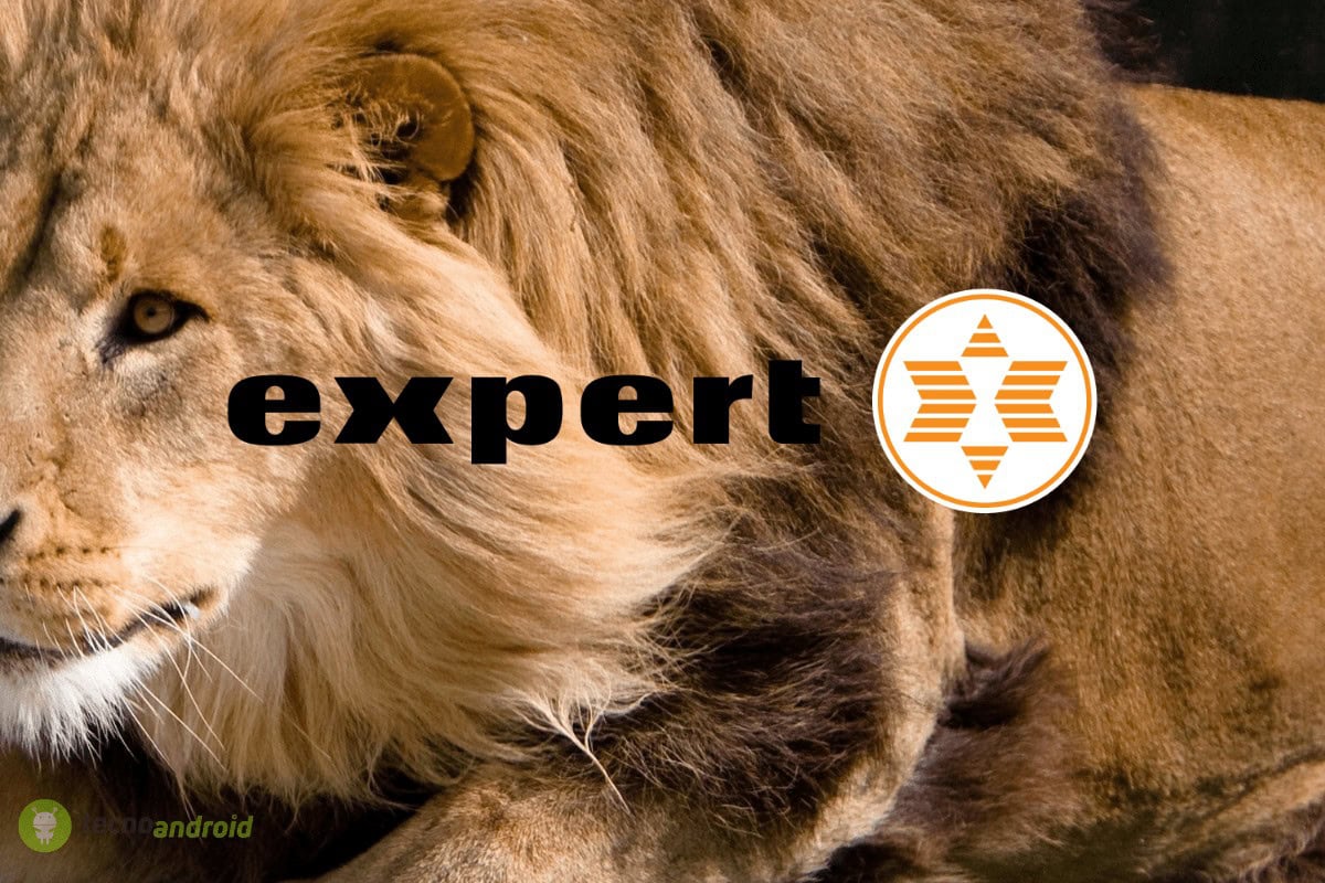 expert