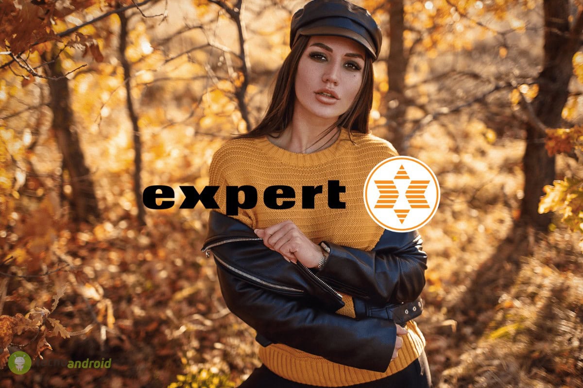 expert