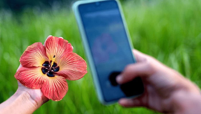 Fotografia: quando non basta un buon telefono per realizzare ottimi scatti