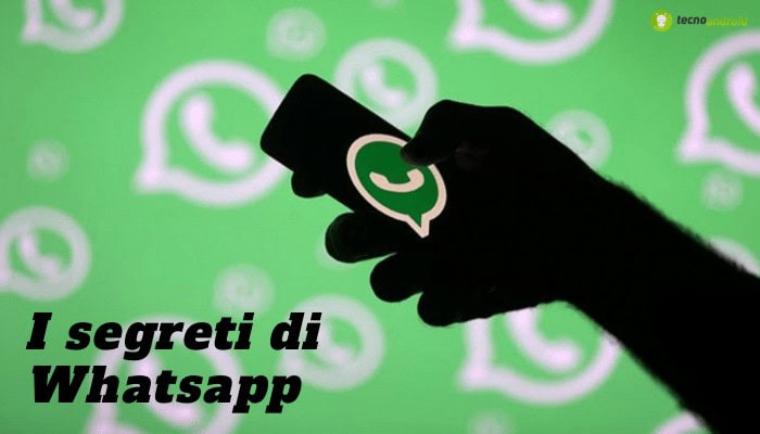 WhatsApp: tutte le NEWS sull'applicazione più usata al mondo