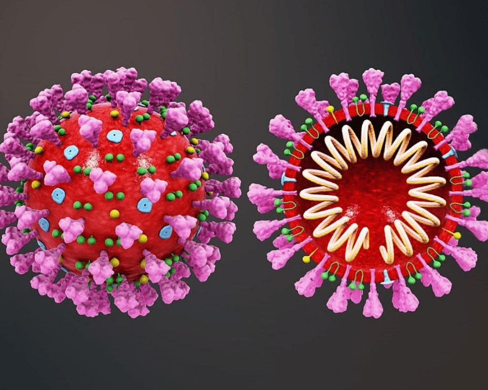 Coronavirus