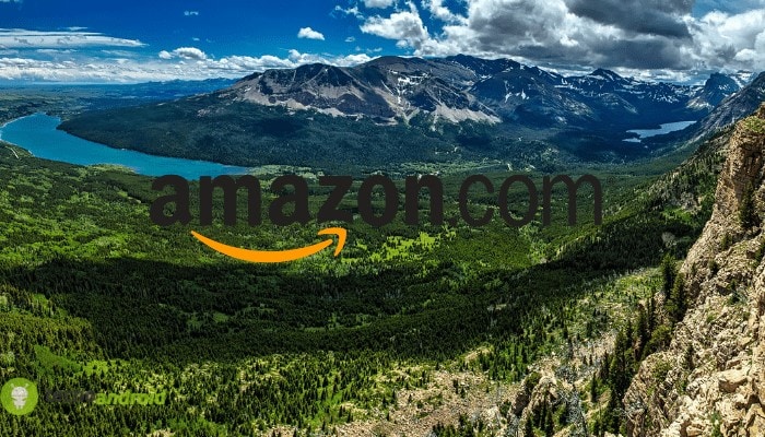 amazon