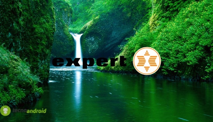 expert