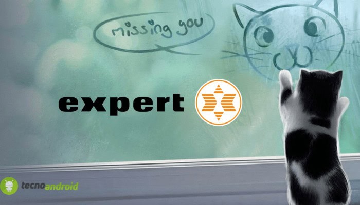 expert