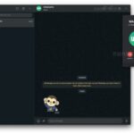 chiamate WhatsApp PC