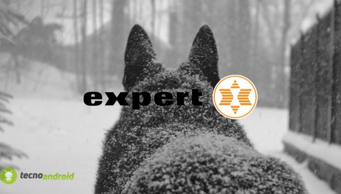 expert