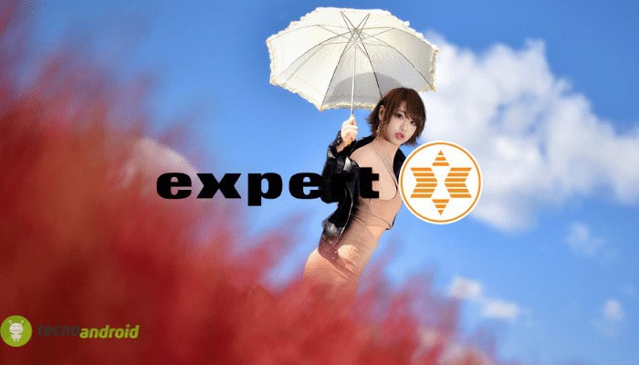 expert