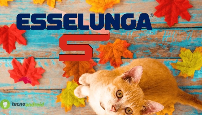 esselunga