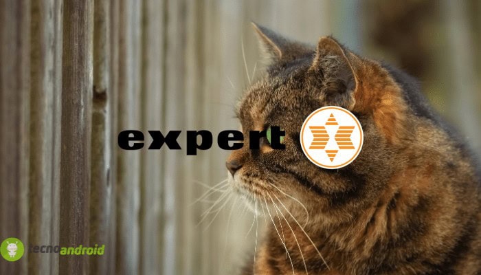 expert