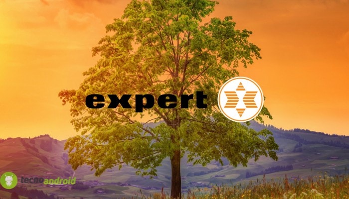 expert