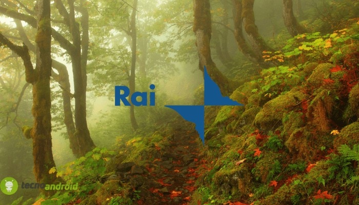 rai