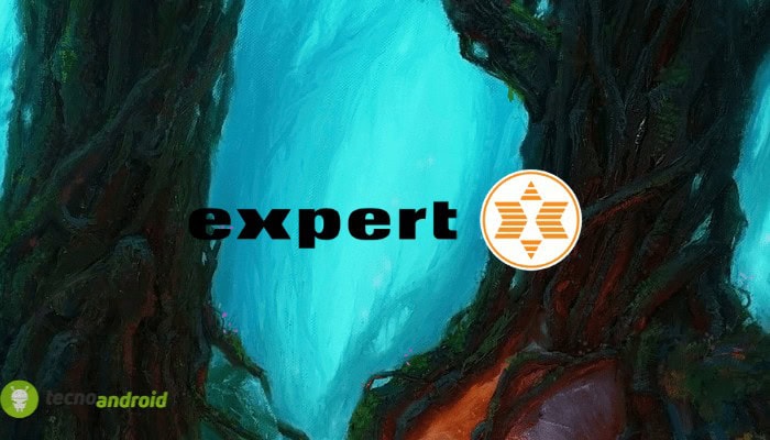 expert