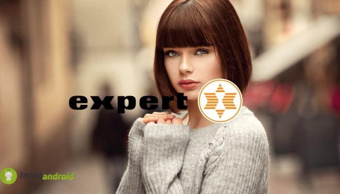 expert