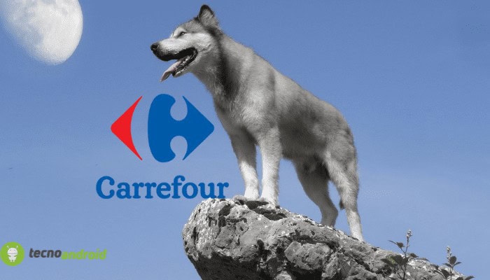 carrefour