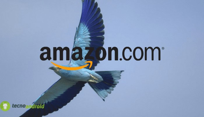 amazon