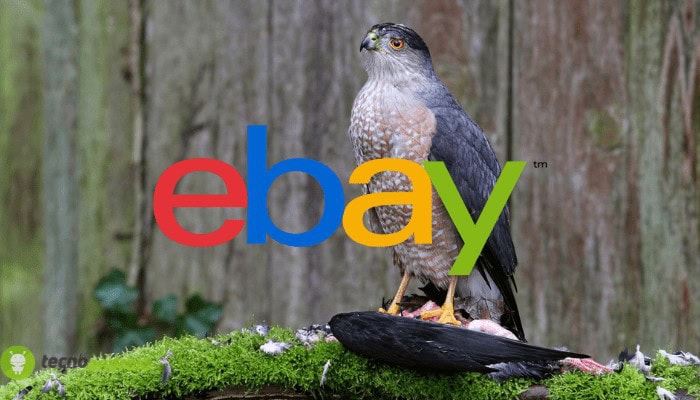 ebay