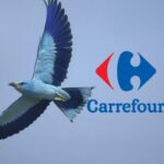 carrefour