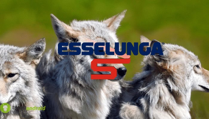 esselunga