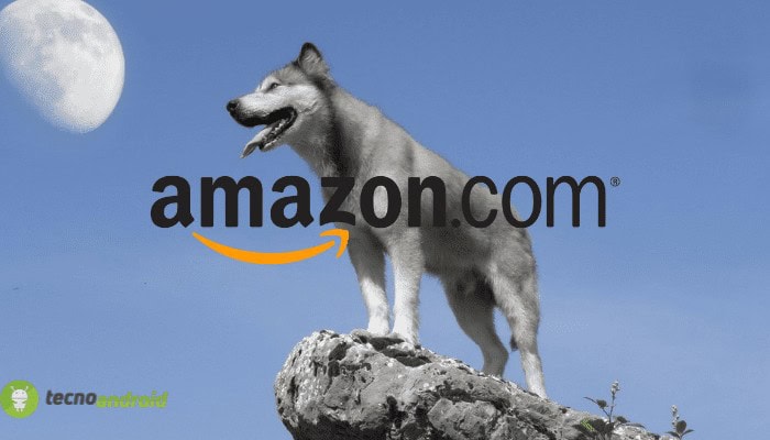 amazon