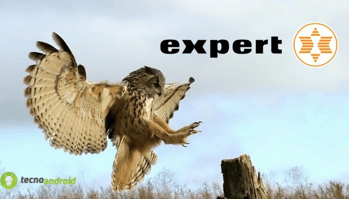 expert