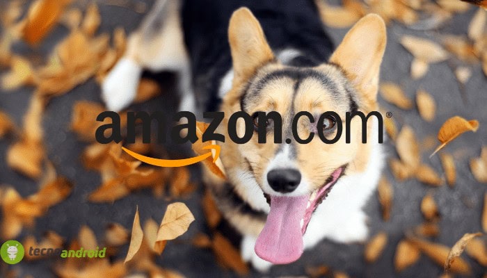 amazon