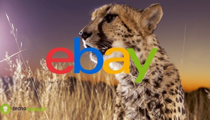 ebay