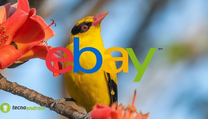 ebay