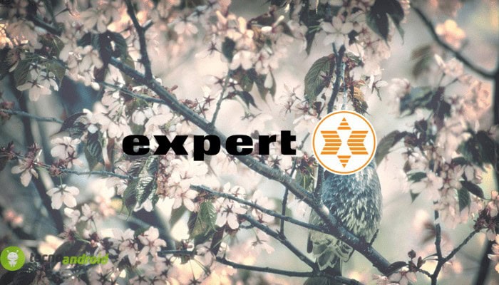 expert