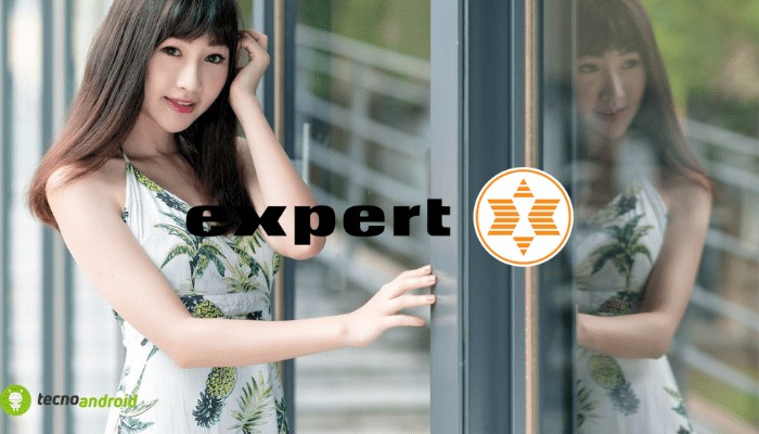 expert