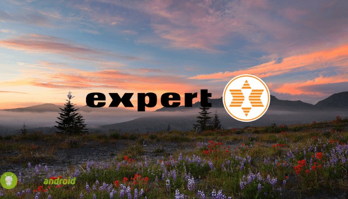 expert