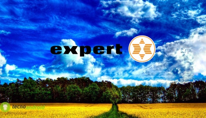 expert