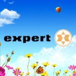 expert