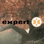 expert