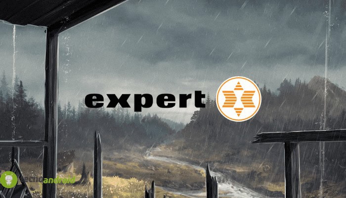 expert