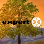 expert